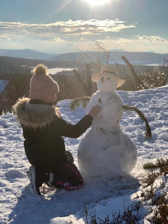 Kisvulkan Nyulontul Mencshely Buitenkant foto