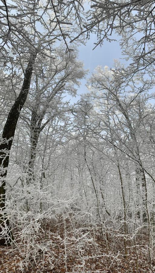 Kisvulkan Nyulontul Mencshely Buitenkant foto