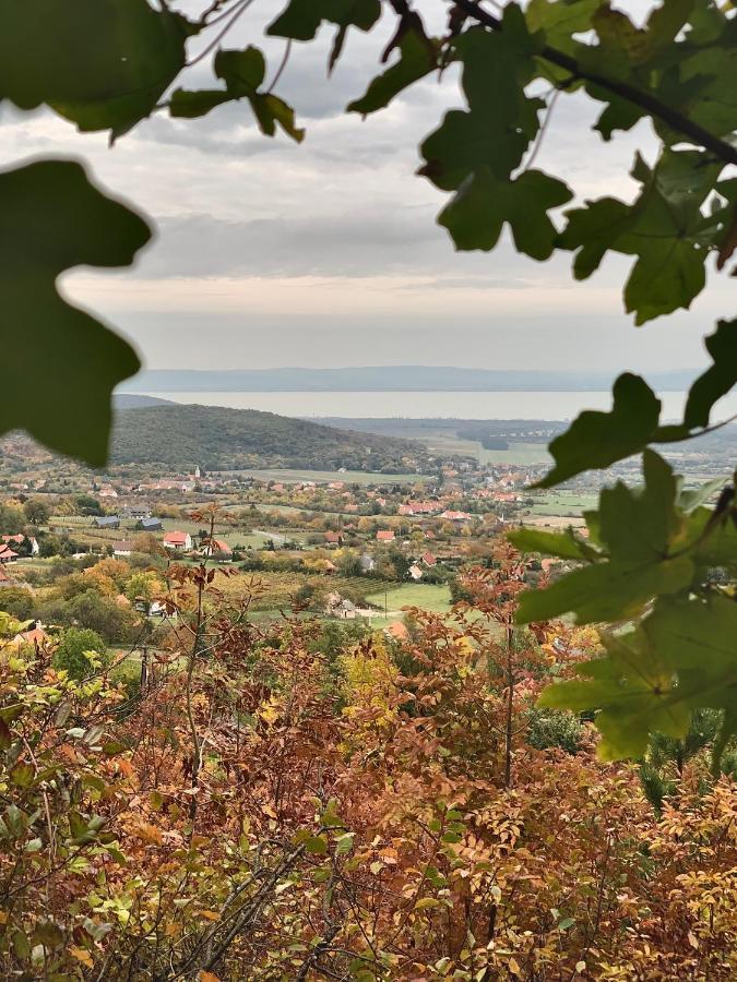Kisvulkan Nyulontul Mencshely Buitenkant foto